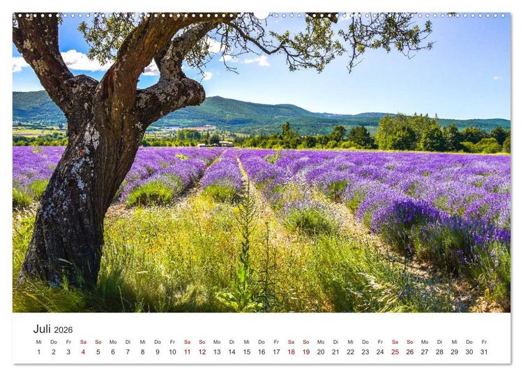 Produktbild: Tr&auml;ume aus Lavendel, Provence in Rosa bis Lila (hochwertiger Premium Wandkalender 2026 DIN A2 quer), Kunstdruck in Hochglanz
