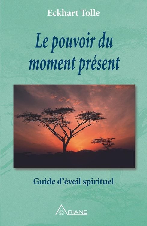 Produktbild: Le pouvoir du moment present