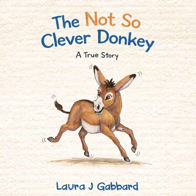 Produktbild: The Not So Clever Donkey