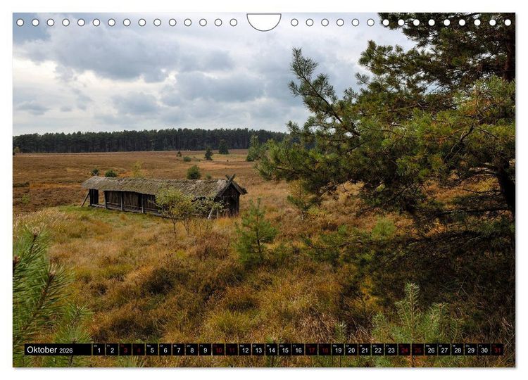 Produktbild: L&uuml;neburger Heide (Wandkalender 2026 DIN A4 quer), CALVENDO Monatskalender