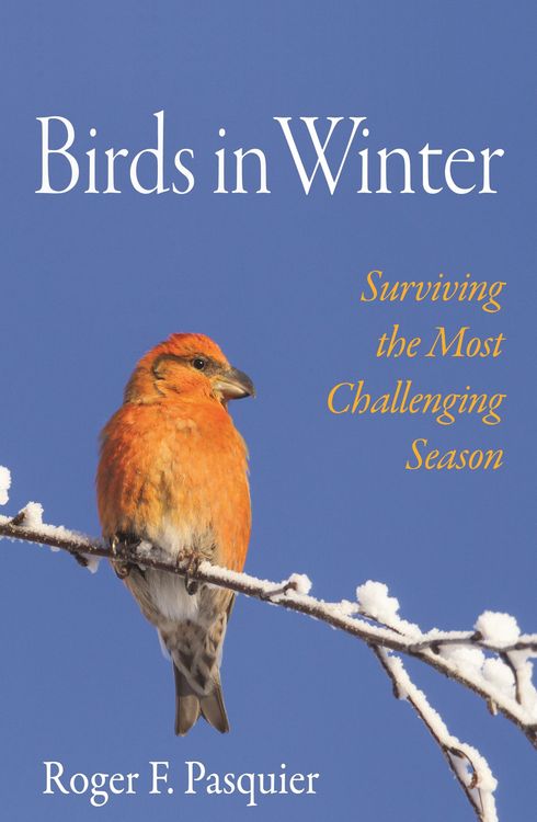 Produktbild: Birds in Winter