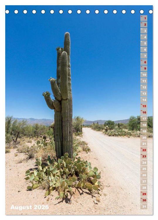 Produktbild: SAGUARO NATIONAL PARK W&uuml;stenimpressionen aus Arizona (Tischkalender 2026 DIN A5 hoch), CALVENDO Monatskalender