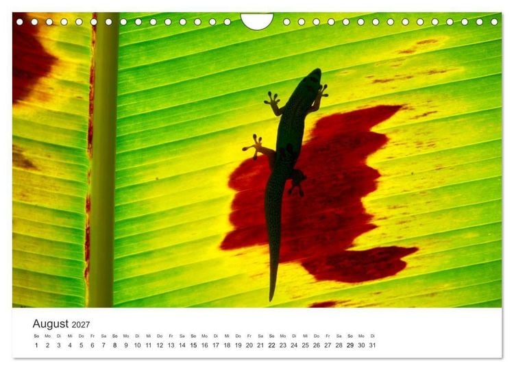 Produktbild: Himmlisches Hawaii (Wandkalender 2027 DIN A4 quer), CALVENDO Monatskalender