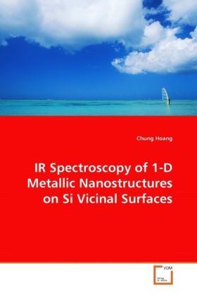 Produktbild: Hoang, C: IR Spectroscopy of 1-D Metallic Nanostructures on