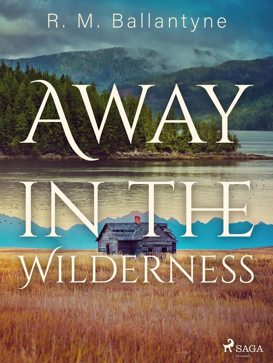 Produktbild: Away in the Wilderness