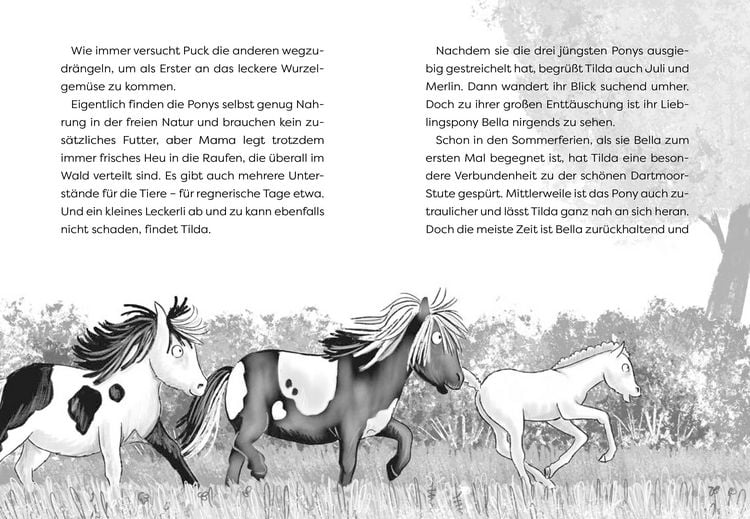 Produktbild: Die Waldponys (Band 2) &ndash; Vier Hufe retten den Schulausflug