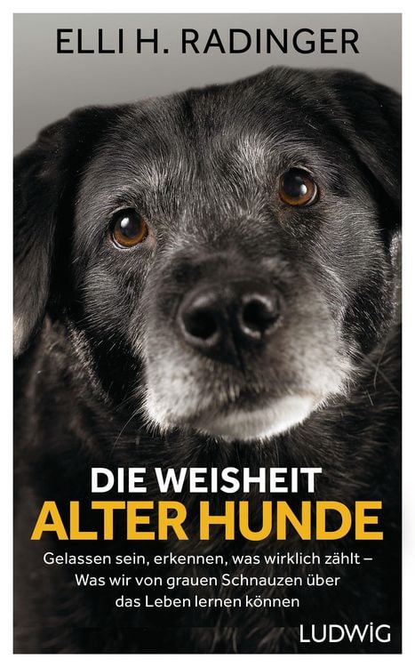 Produktbild: Die Weisheit alter Hunde