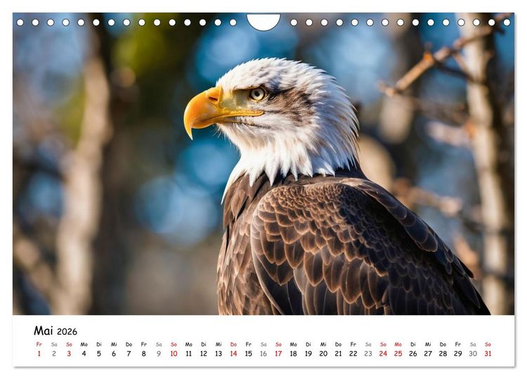Produktbild: Majest&auml;tische Wei&szlig;kopfseeadler - Der K&ouml;nig der L&uuml;fte (Wandkalender 2026 DIN A4 quer), CALVENDO Monatskalender