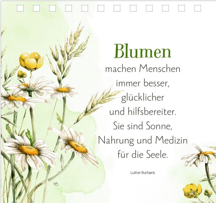 Produktbild: Sch&ouml;ne Momente f&uuml;r die Seele