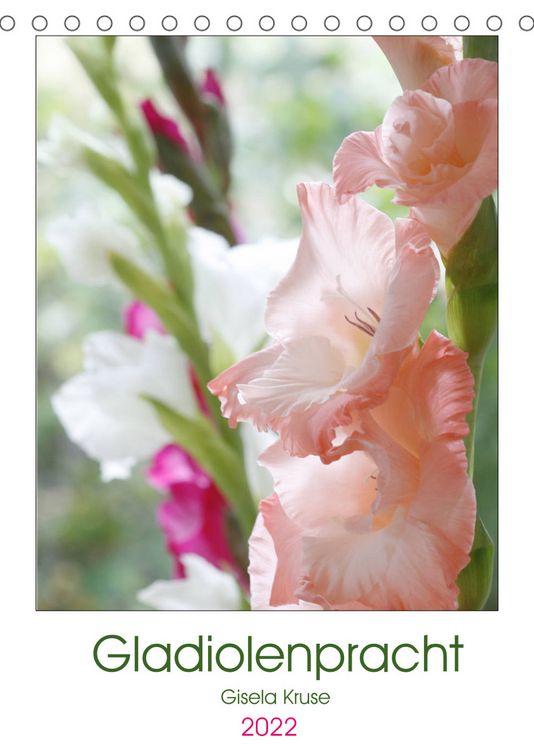 Produktbild: Gladiolenpracht (Tischkalender 2022 DIN A5 hoch)