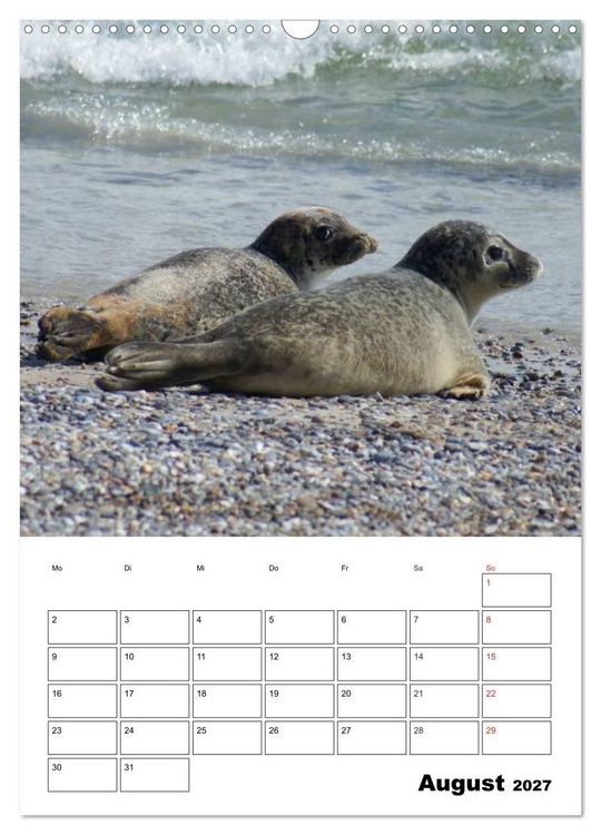 Produktbild: Liebenswerte Robben (Wandkalender 2027 DIN A3 hoch), CALVENDO Monatskalender