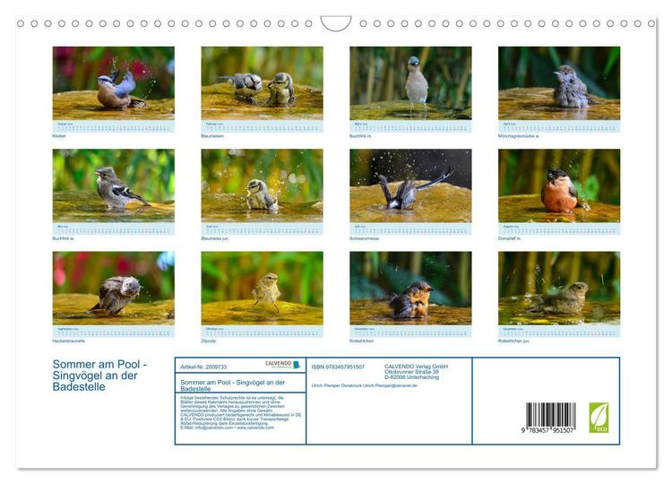 Produktbild: Sommer am Pool - Singv&ouml;gel an der Badestelle (Wandkalender 2026 DIN A3 quer), CALVENDO Monatskalender