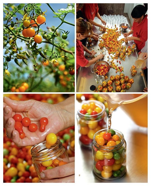 Produktbild: Nat&uuml;rlich koch ich! Tomaten