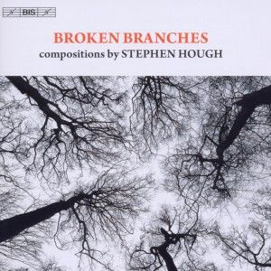 Produktbild: Broken Branches-Kammermusik