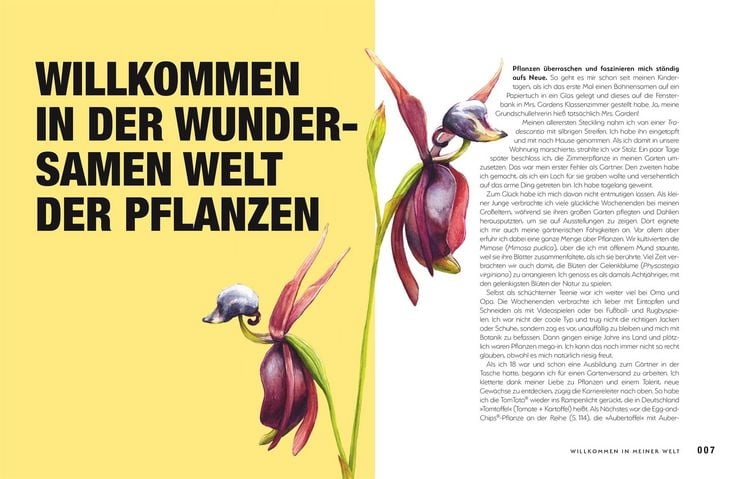 Produktbild: Kuriose Pflanzen