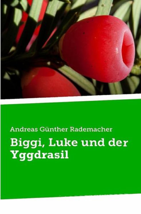 Produktbild: Biggi und Luke / Biggi, Luke und der Yggdrasil