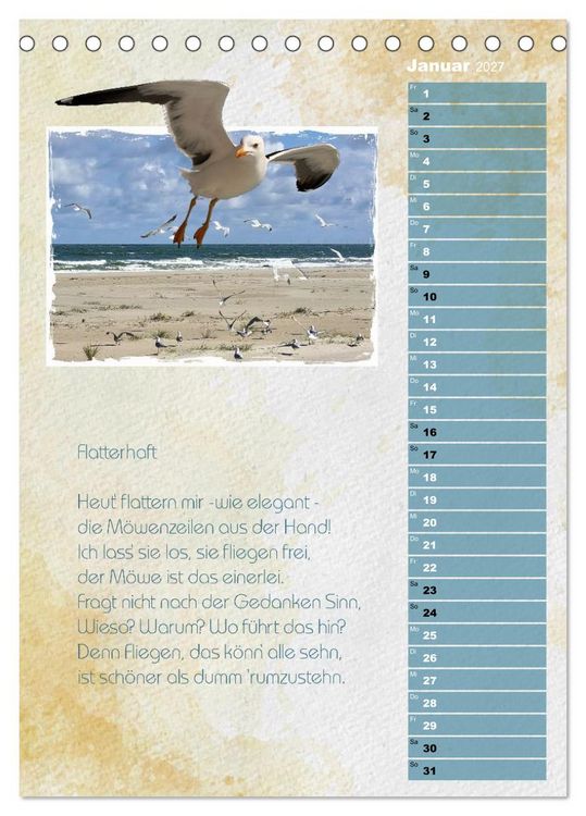Produktbild: Wenn alle M&ouml;wen Emma hie&szlig;en... (Tischkalender 2027 DIN A5 hoch), CALVENDO Monatskalender