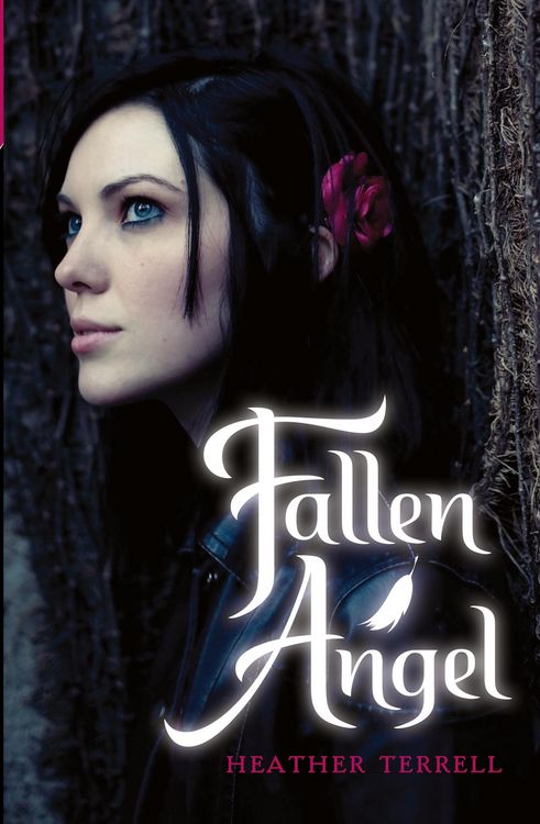 Produktbild: Terrell, H: Fallen Angel