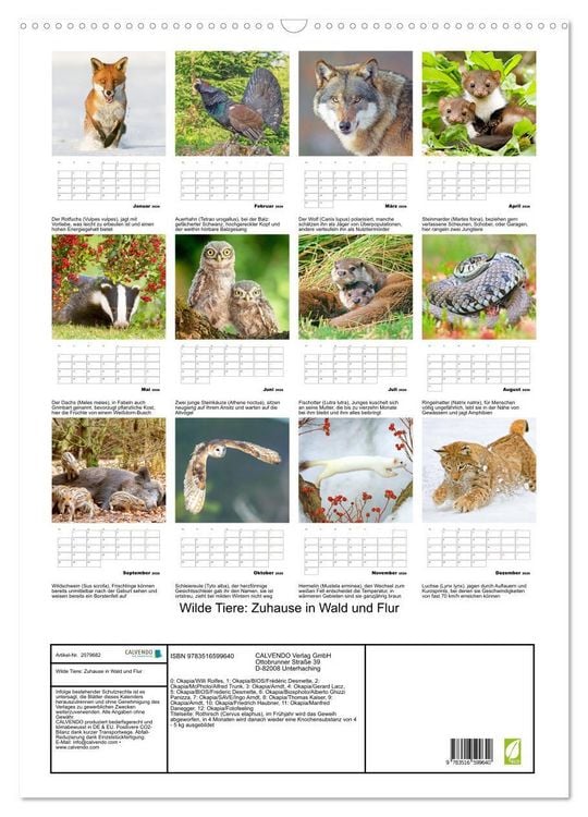 Produktbild: Wilde Tiere: Zuhause in Wald und Flur (Wandkalender 2026 DIN A2 hoch), CALVENDO Monatskalender