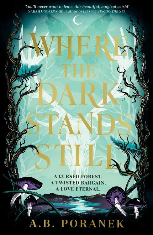 Produktbild: Where the Dark Stands Still