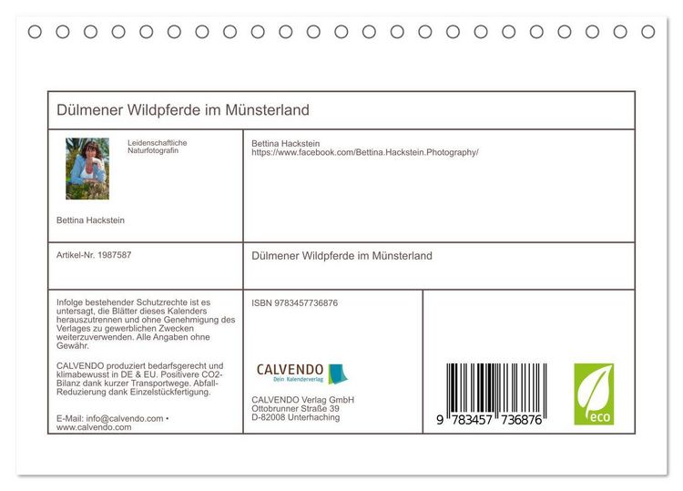 Produktbild: D&uuml;lmener Wildpferde im M&uuml;nsterland (Tischkalender 2026 DIN A5 quer), CALVENDO Monatskalender
