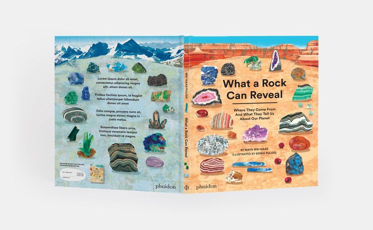 Produktbild: What a Rock Can Reveal