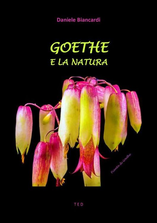 Produktbild: Goethe e la Natura