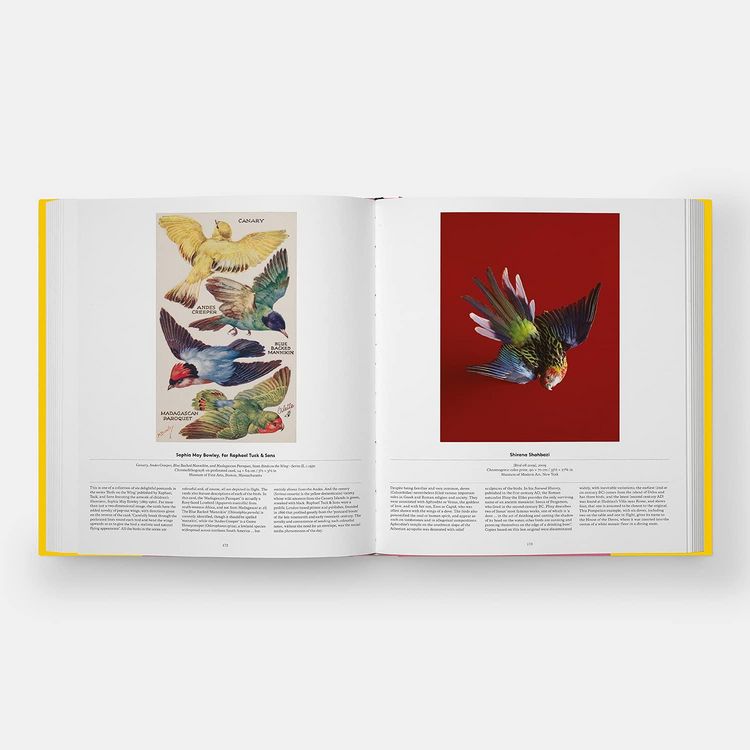 Produktbild: Bird: Exploring the Winged World