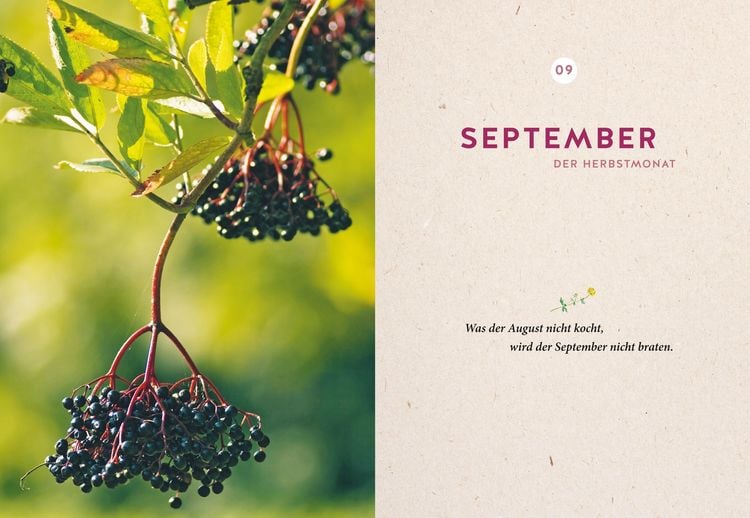 Produktbild: Mein Gartenkalender 2027