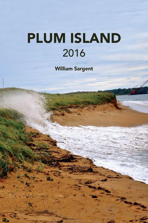 Produktbild: Plum Island 2016