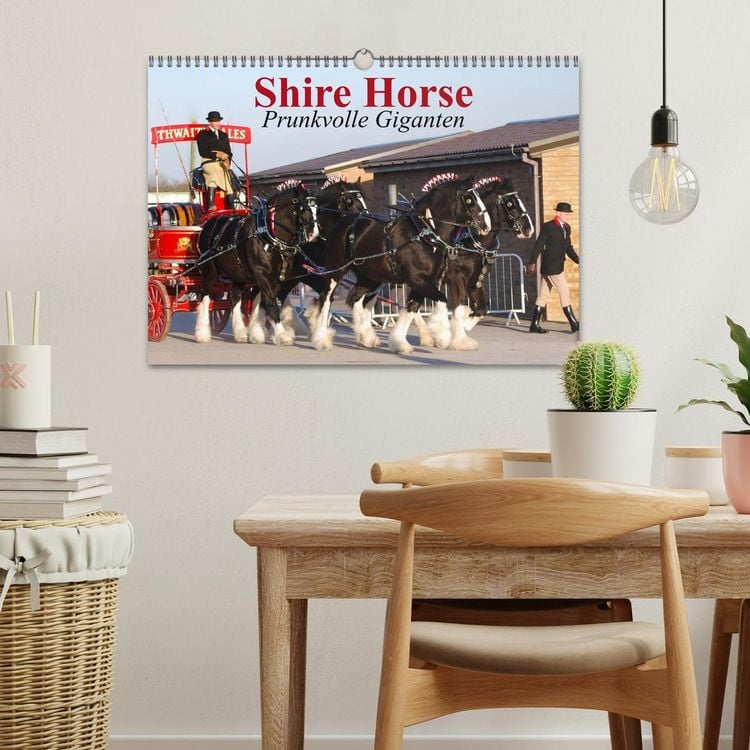 Produktbild: Shire Horse &bull; Prunkvolle Giganten (Wandkalender 2026 DIN A3 quer), CALVENDO Monatskalender