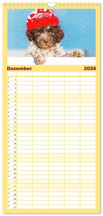 Produktbild: Familienplaner 2026 - Lagotto Romagnolo - der Tr&uuml;ffelhund Italiens mit 5 Spalten (Wandkalender, 21 x 45 cm) CALVENDO