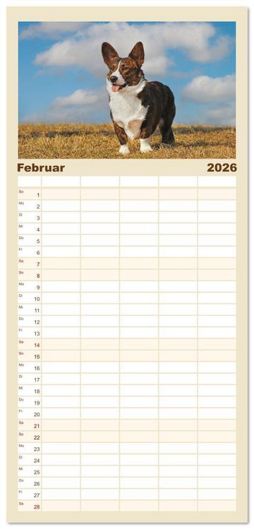 Produktbild: Familienplaner 2026 - Britische H&uuml;tehunde - Treue Freunde auf vier Pfoten mit 5 Spalten (Wandkalender, 21 x 45 cm) CALVENDO