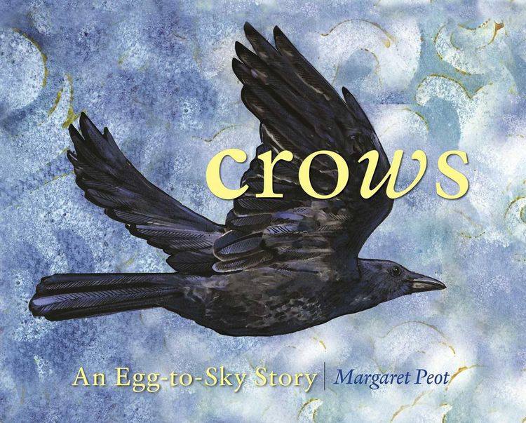 Produktbild: Crows