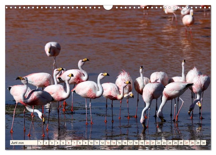 Produktbild: ATACAMA Wunder der Natur (Wandkalender 2026 DIN A3 quer), CALVENDO Monatskalender