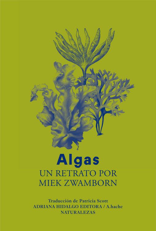 Produktbild: Algas