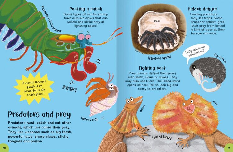 Produktbild: Encyclopedia of Incredible Things