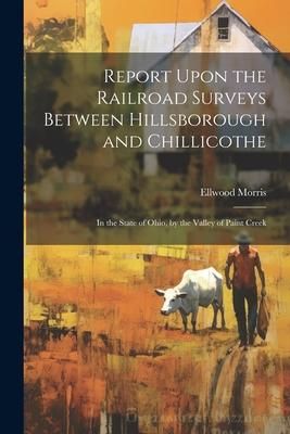 Produktbild: Report Upon the Railroad Surveys Between Hillsborough and Chillicothe: In the State of Ohio, by the Valley of Paint Creek