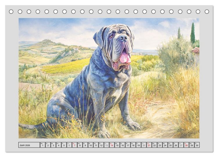 Produktbild: Mastino Napoletano. Die wuchtigen Molosser im Painting-Stil (Tischkalender 2026 DIN A5 quer), CALVENDO Monatskalender