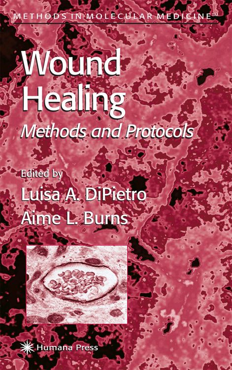 Produktbild: Wound Healing