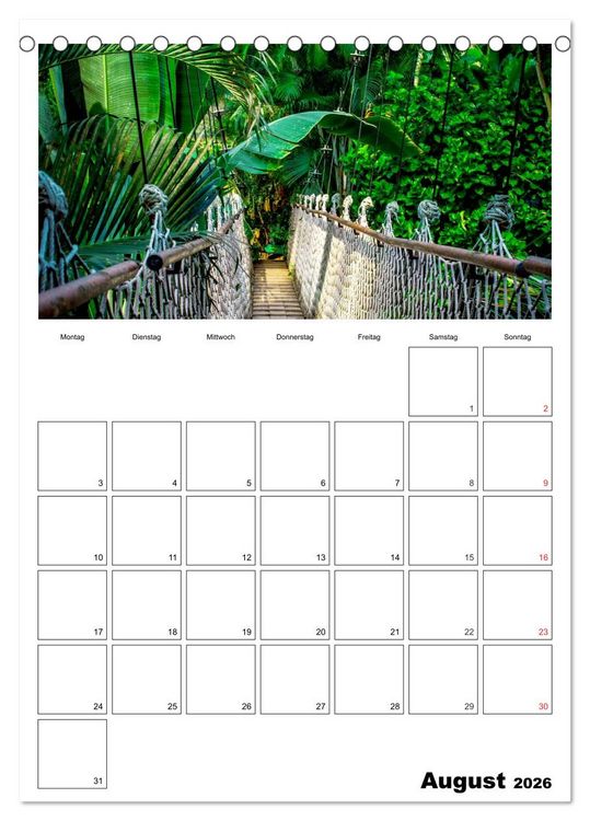 Produktbild: Brasilien. Wo die Sonne wohnt (Tischkalender 2026 DIN A5 hoch), CALVENDO Monatskalender