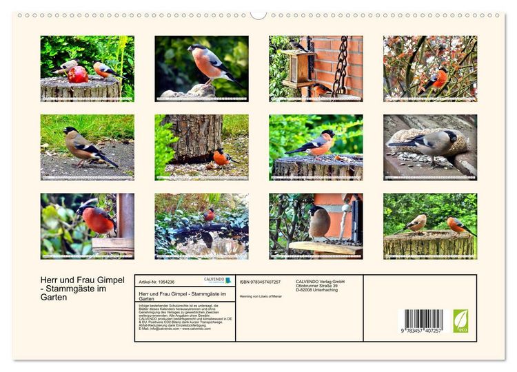 Produktbild: Herr und Frau Gimpel - Stammg&auml;ste im Garten (hochwertiger Premium Wandkalender 2026 DIN A2 quer), Kunstdruck in Hochglanz
