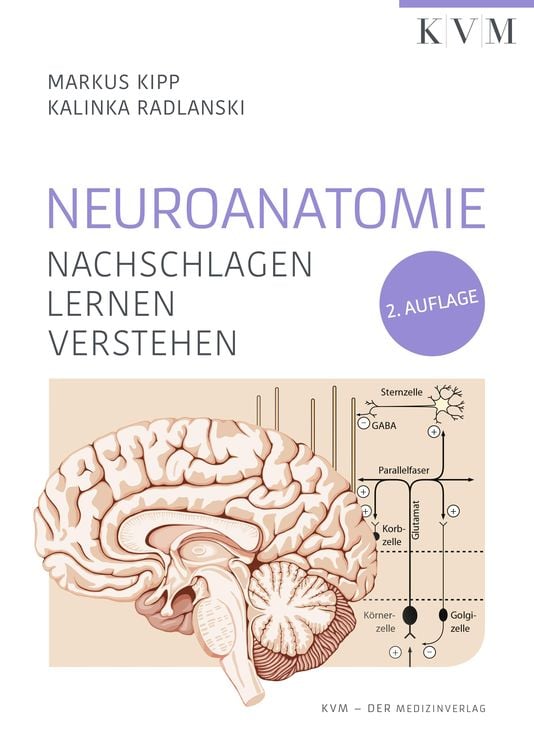 Produktbild: Neuroanatomie