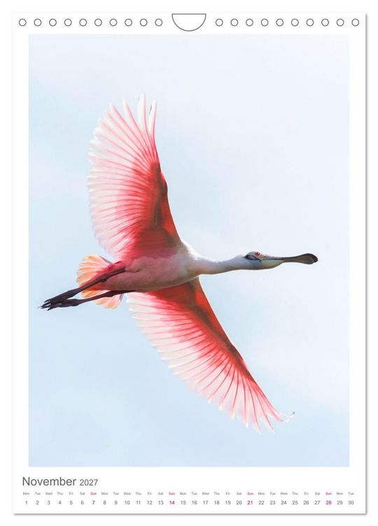 Produktbild: Pantanal Wildlife Photography (Wall Calendar 2027 DIN A4 portrait), CALVENDO 12 Month Wall Calendar
