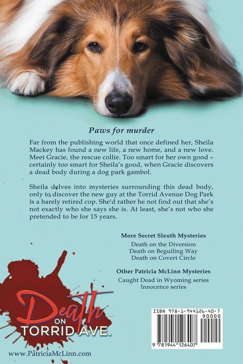 Produktbild: Death on Torrid Ave. (Secret Sleuth, Book 2)