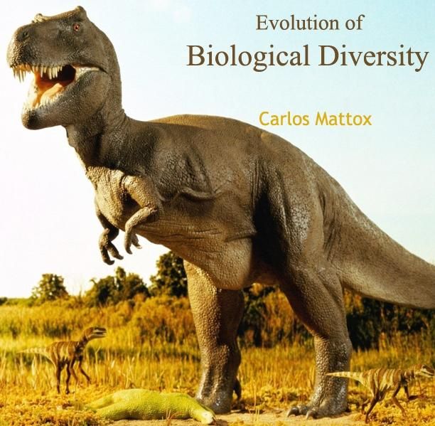 Produktbild: Evolution of Biological Diversity