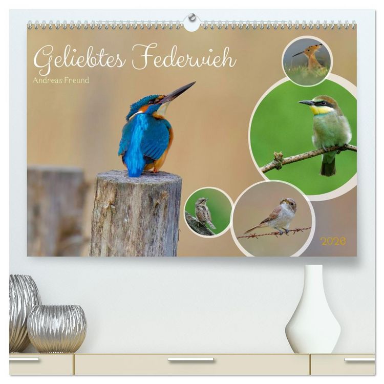 Produktbild: Geliebtes Federvieh (hochwertiger Premium Wandkalender 2026 DIN A2 quer), Kunstdruck in Hochglanz
