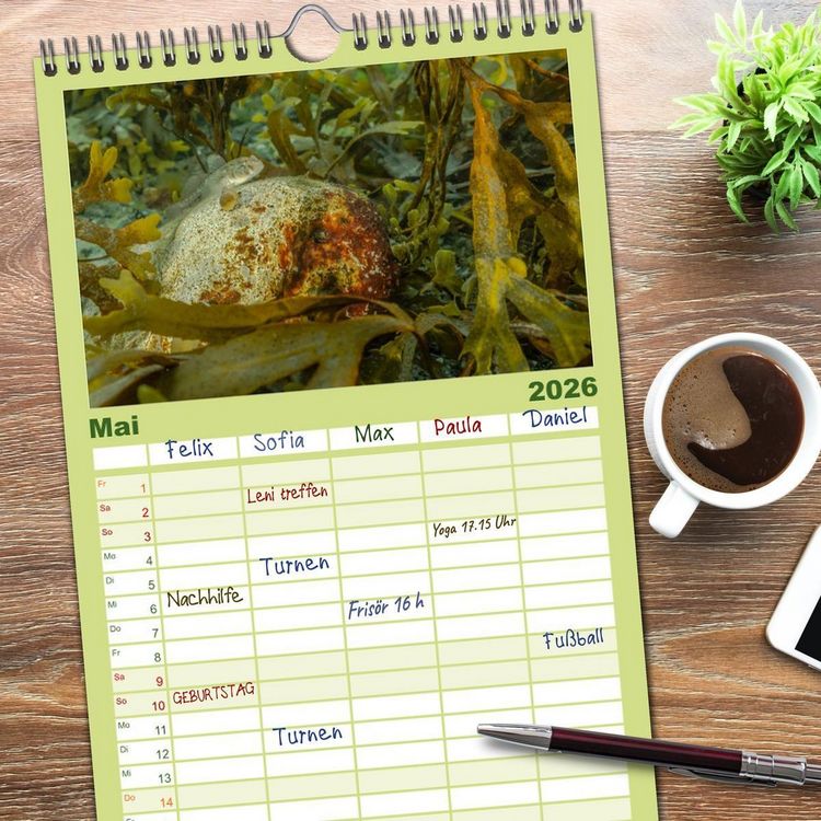 Produktbild: Familienplaner 2026 - Unter Wasser rund um Fehmarn mit 5 Spalten (Wandkalender, 21 x 45 cm) CALVENDO