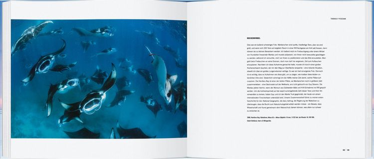 Produktbild: Die erstaunliche Welt der Tiere