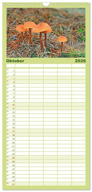 Produktbild: Familienplaner 2026 - Die Sch&ouml;nheit der Jahreszeiten, Sehnsucht nach Farbe und Leichtigkeit mit 5 Spalten (Wandkalender, 21 x 45 cm) CALVENDO